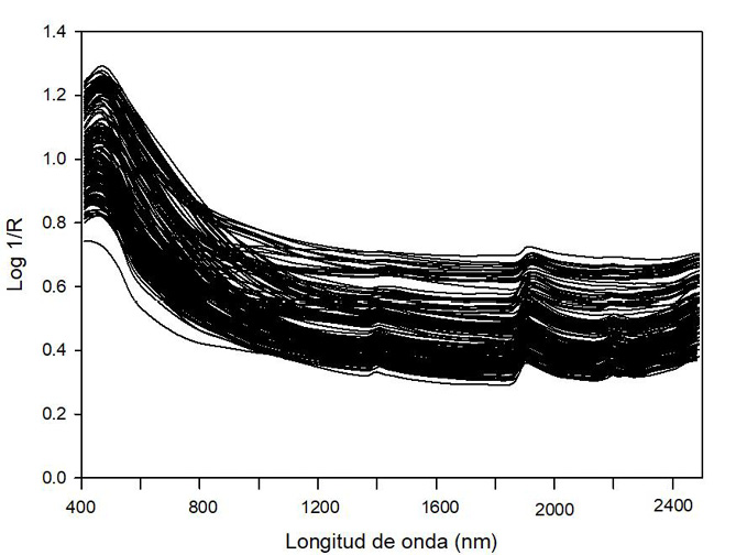 Gráfico

Descripción generada automáticamente