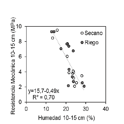 Gráfico, Gráfico de dispersión

Descripción generada automáticamente